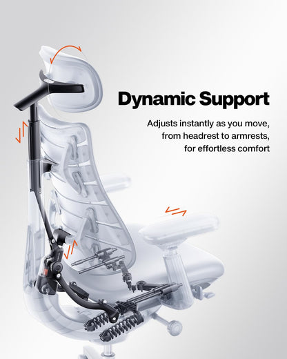 LiberNovo SE Ergonomic Office Chair, Adjustable Desk Chair