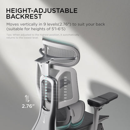Hbada E3 Pro Ergonomic Office Chair with Dynamic Lumbar Support