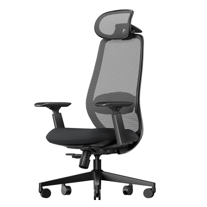ProtoArc EC200 Ergonomic Office Chair with Adjustable Seat Depth, Black