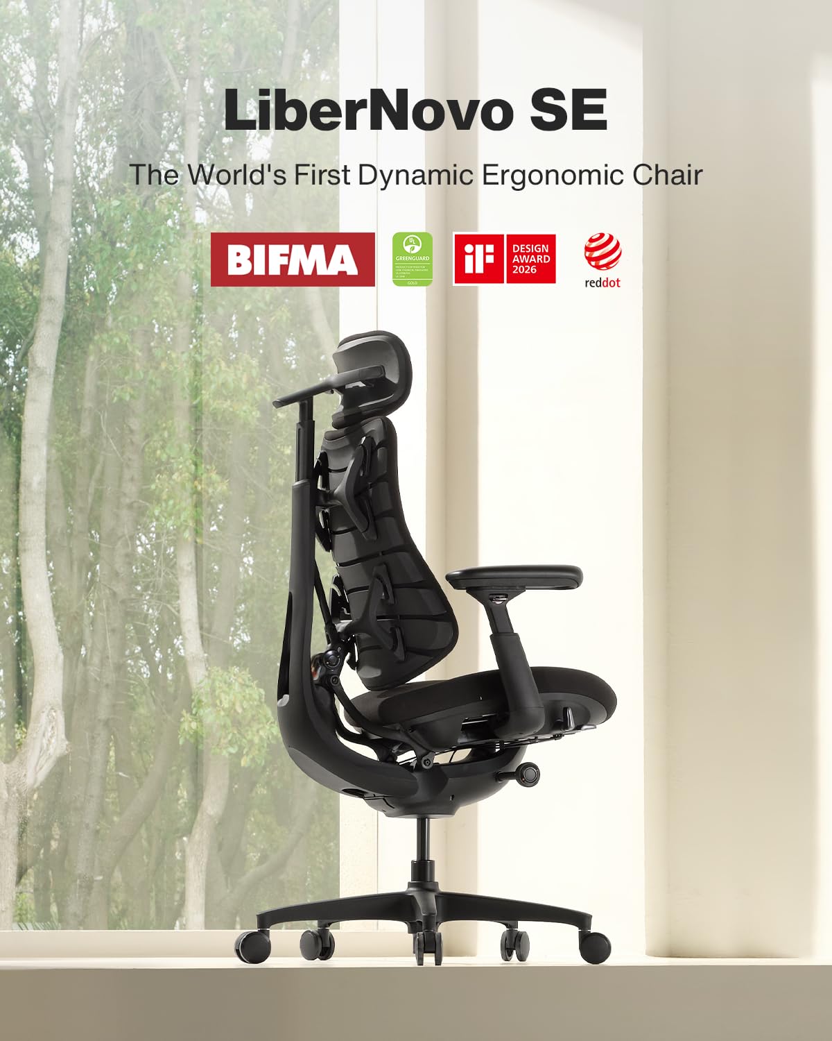 LiberNovo SE Ergonomic Office Chair, Adjustable Desk Chair